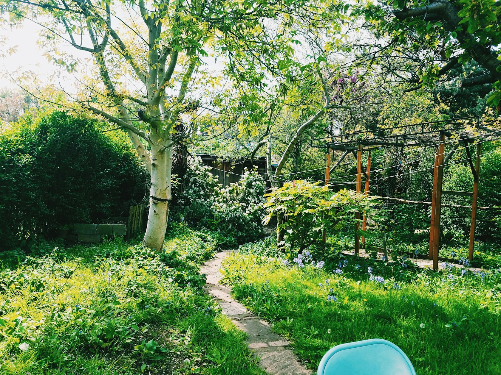 Jardin verdoyant au soleil